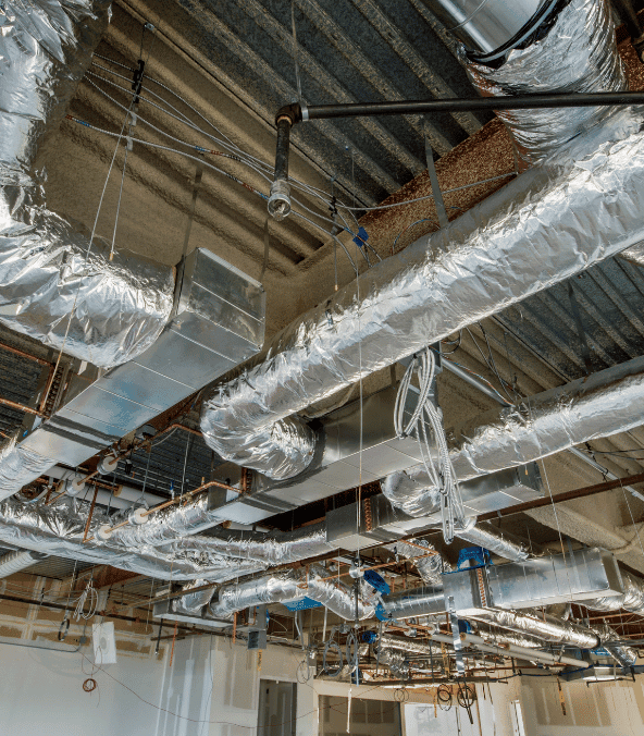 Untitled design 2025 10 08T164906.440